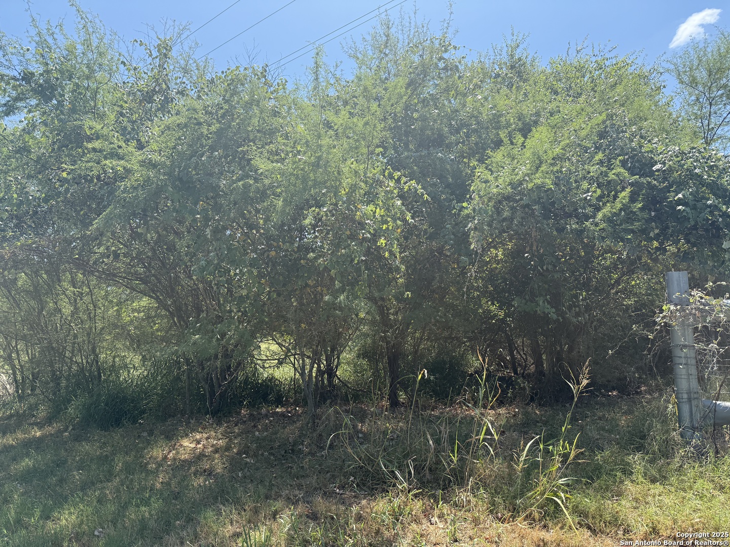 5751 Fm 541 Floresville TX 78114