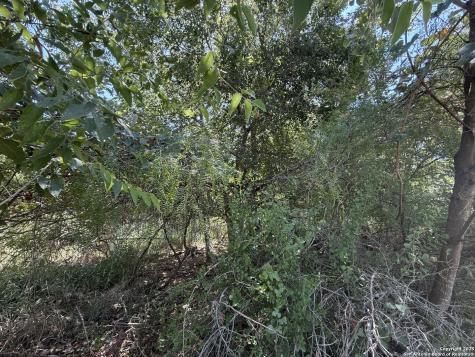 5751 Fm 541 Floresville TX 78114
