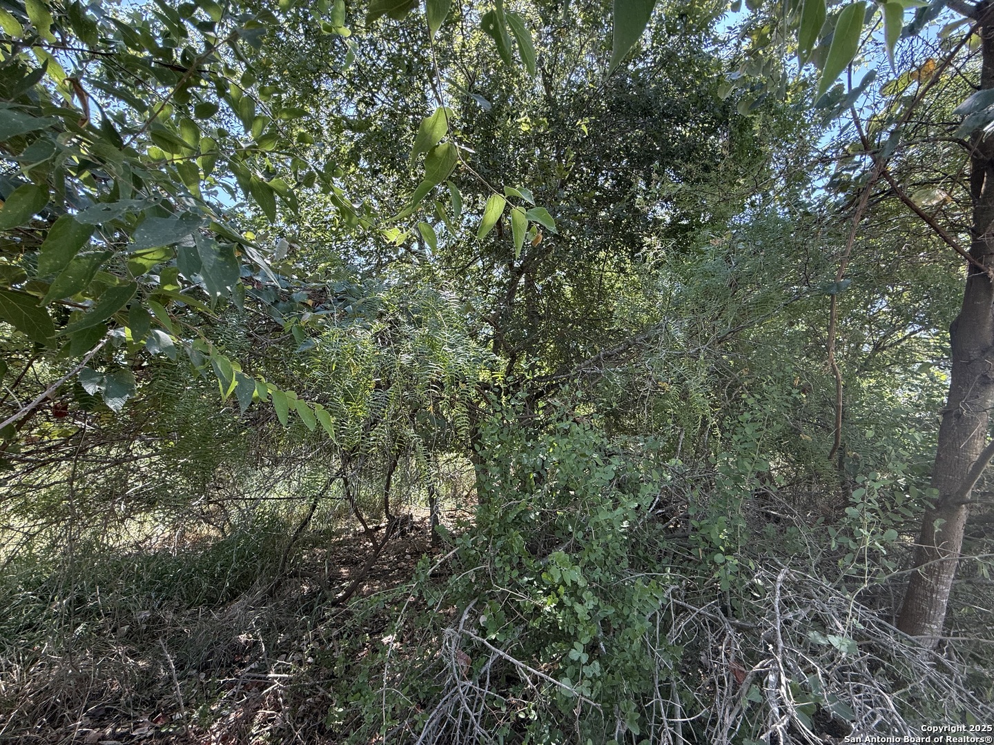 5751 Fm 541 Floresville TX 78114