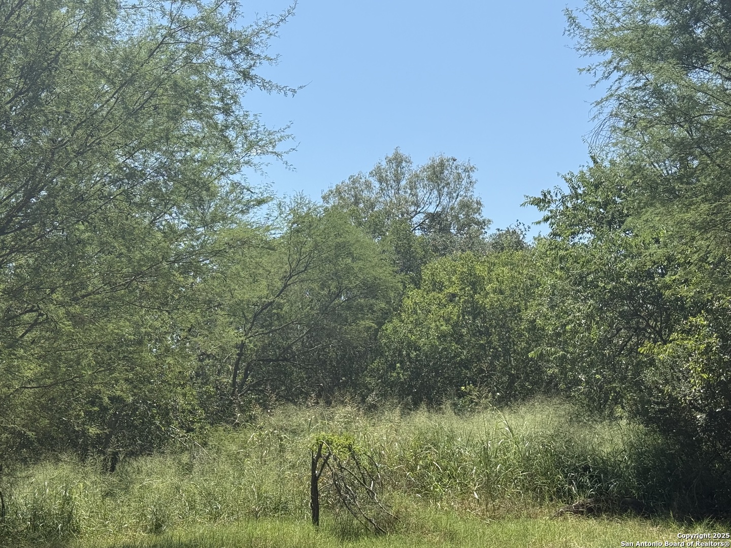 5751 Fm 541 Floresville TX 78114