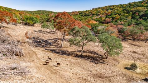 225 Arrowhead Lane Pipe Creek TX 78063
