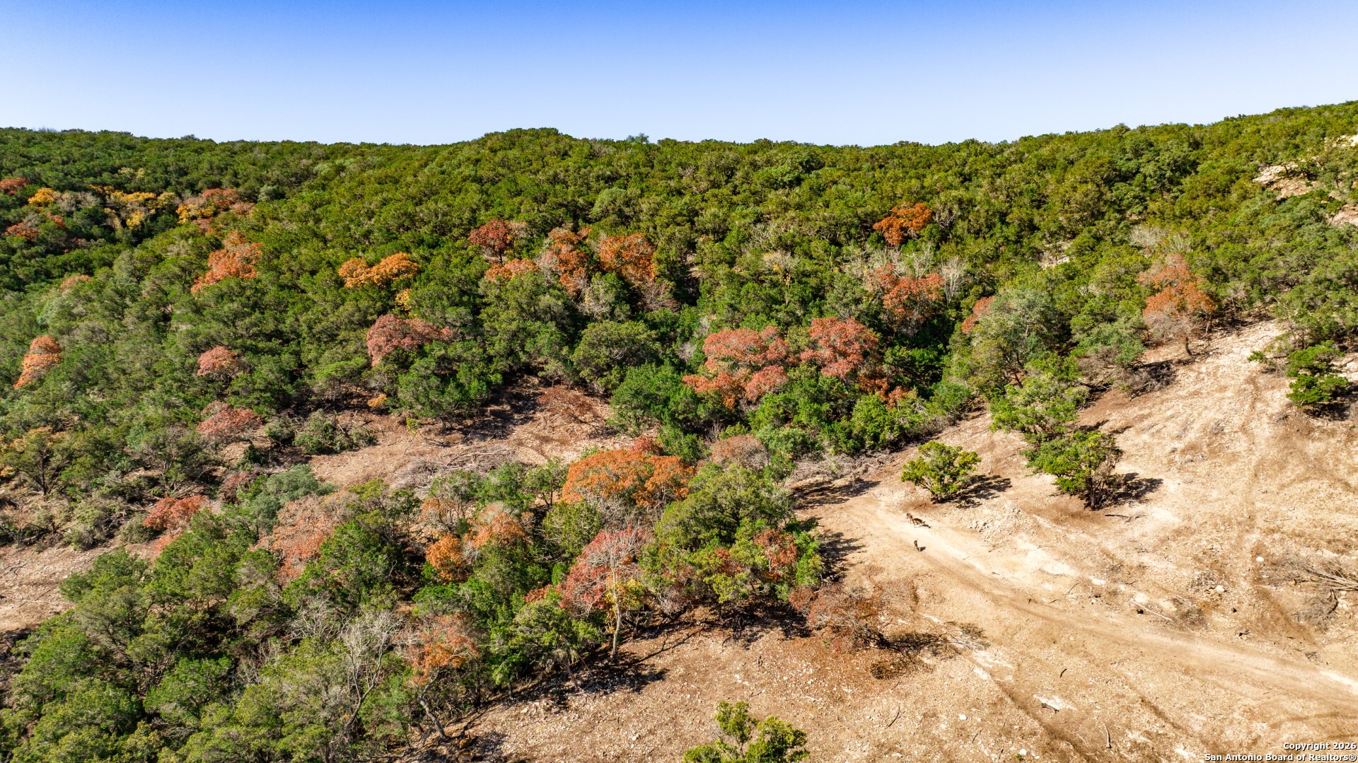 225 Arrowhead Lane Pipe Creek TX 78063