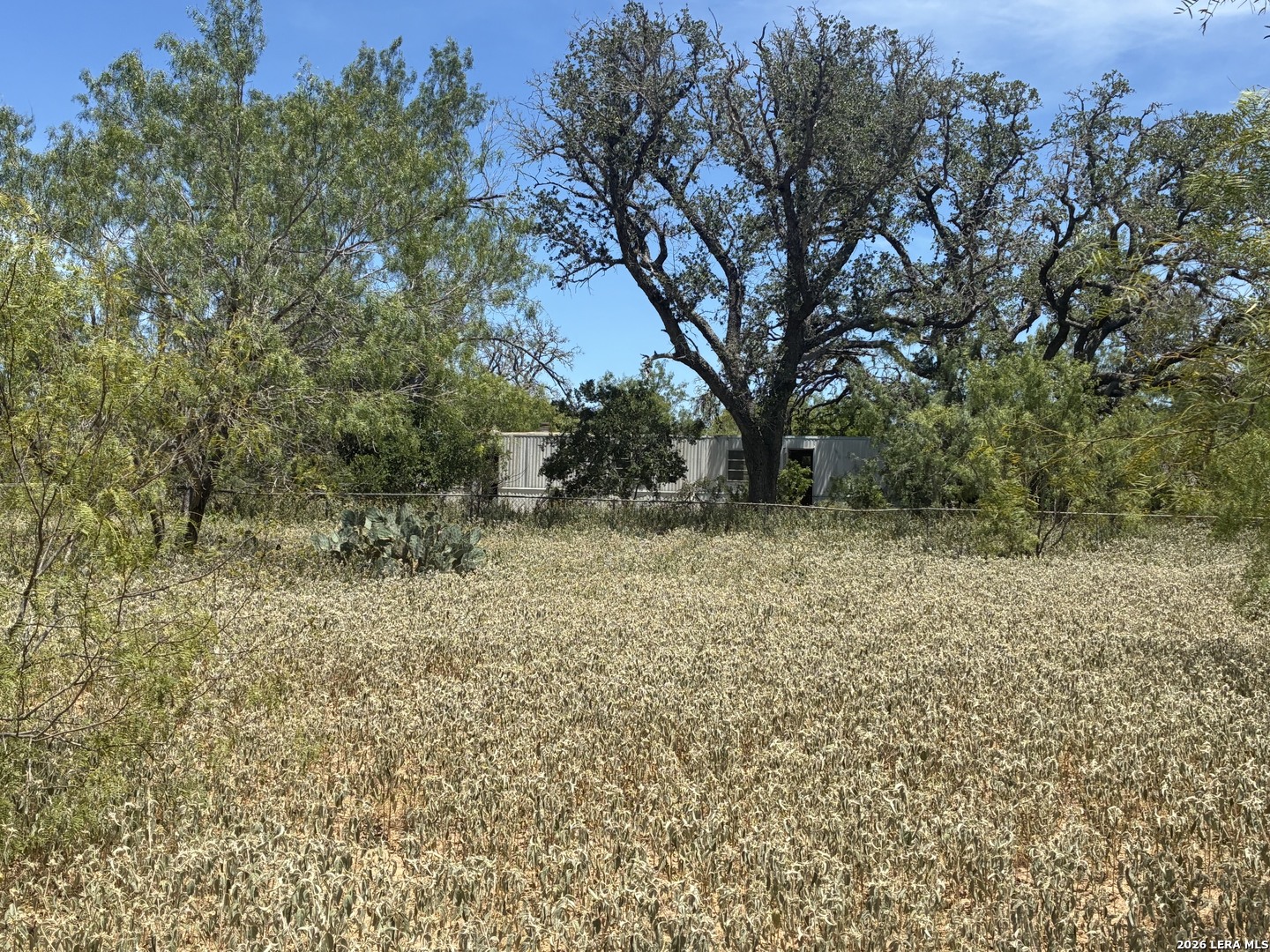 920 County Road 665 Devine TX 78016