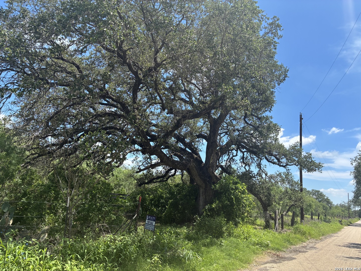 920 County Road 665 Devine TX 78016