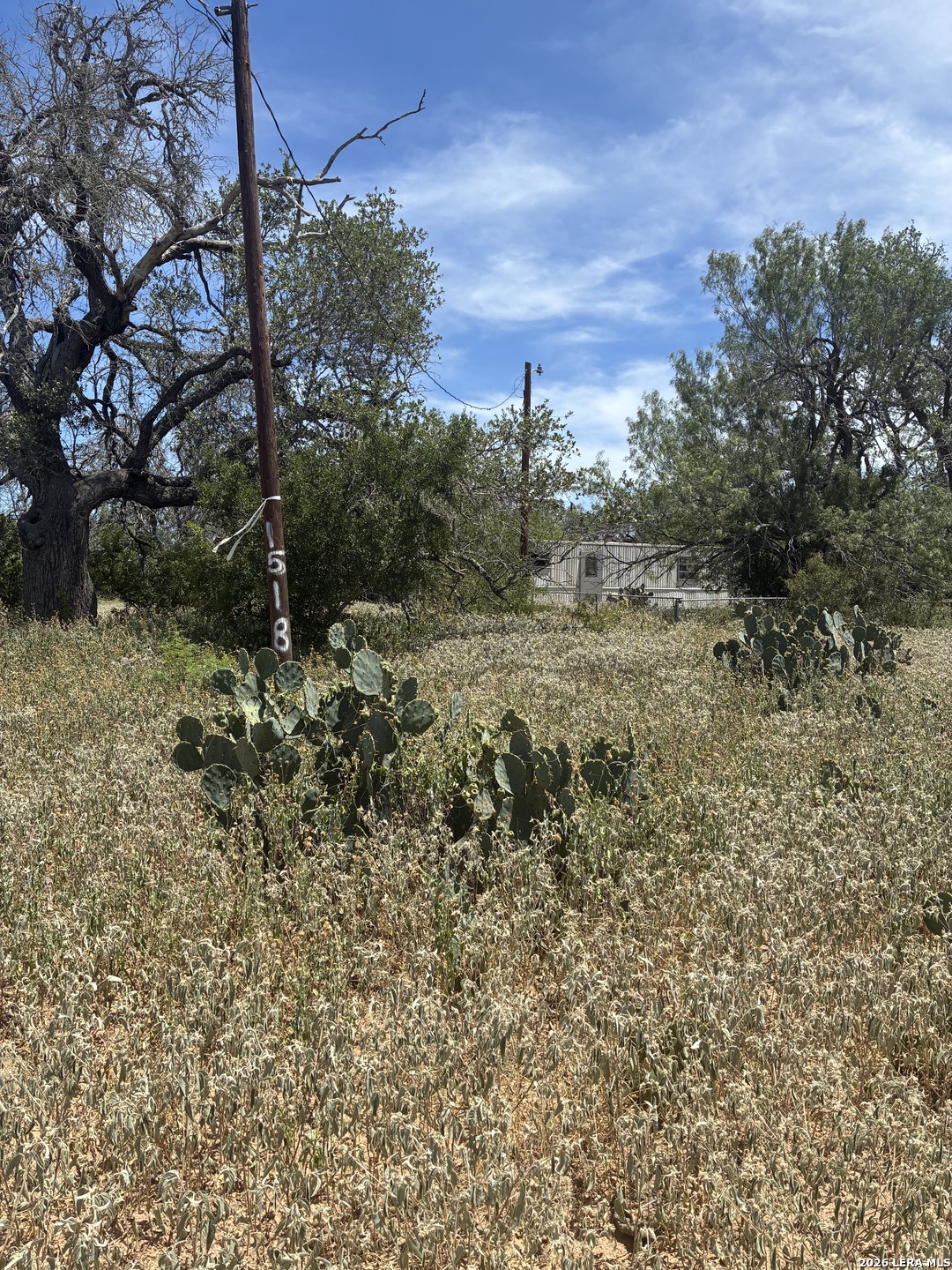 920 County Road 665 Devine TX 78016