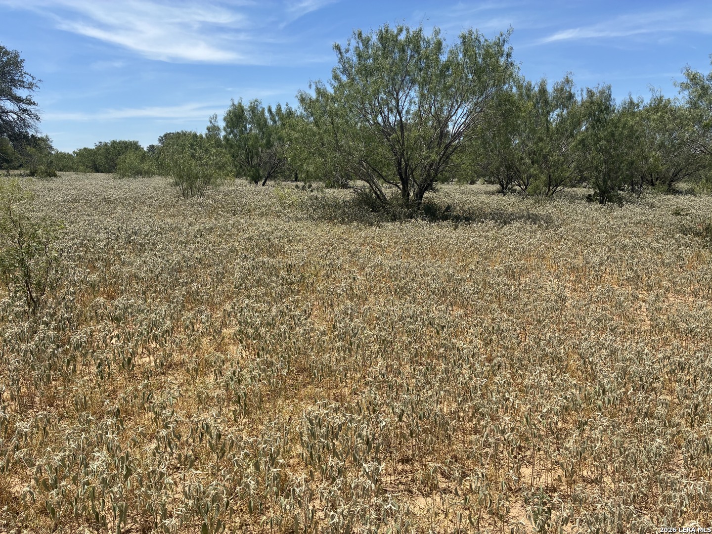 920 County Road 665 Devine TX 78016