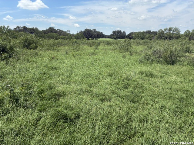 920 County Road 665 Devine TX 78016