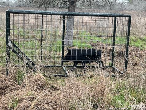 606 County Road 222 Nixon TX 78140