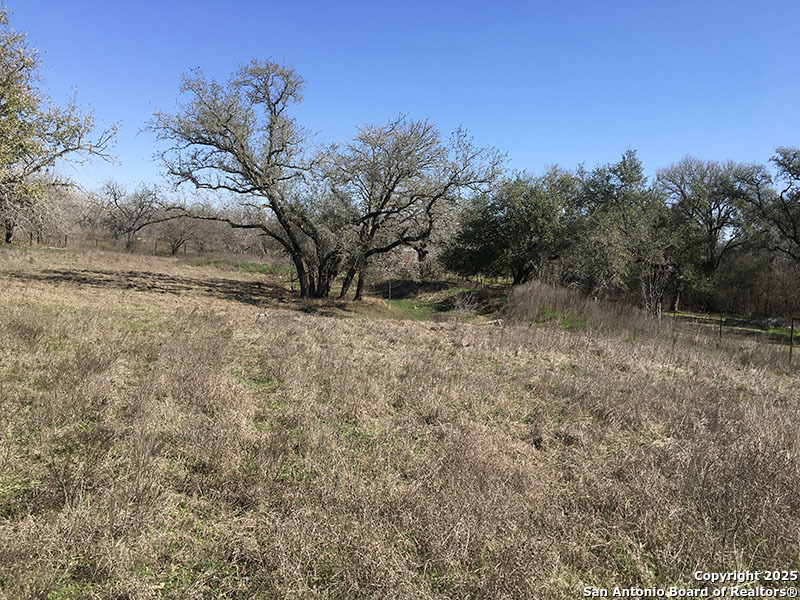 606 County Road 222 Nixon TX 78140
