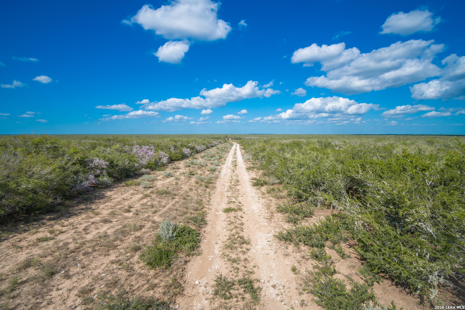 2089 Cr 145 Alice TX 78332