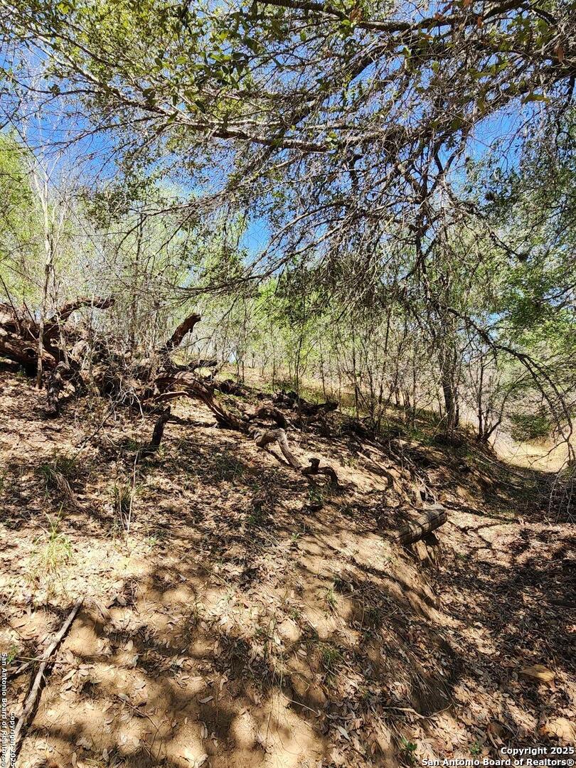 10951 (TRACT A) Kosub Lane San Antonio TX 78223