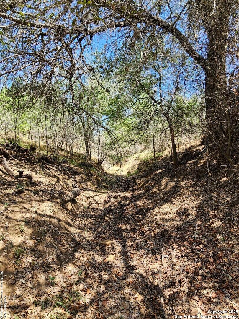 10951 (TRACT A) Kosub Lane San Antonio TX 78223