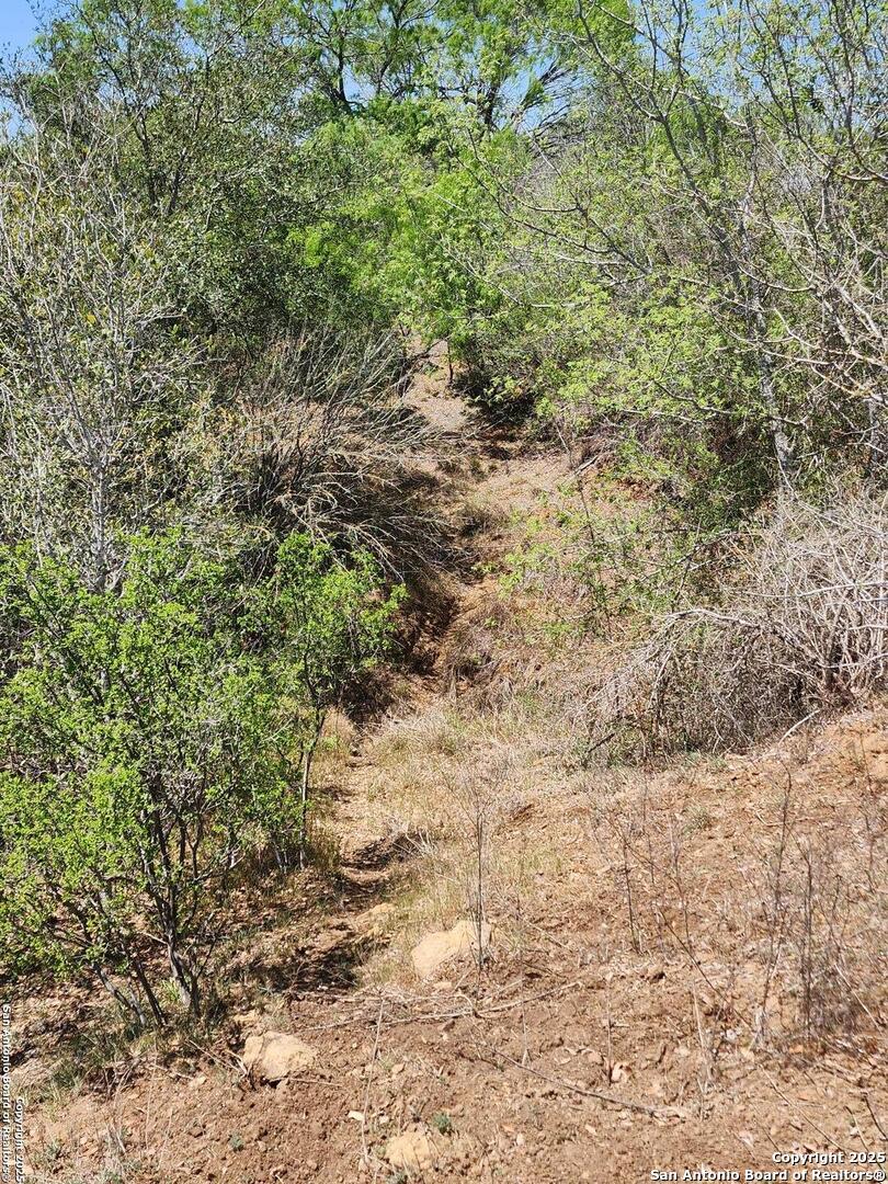 10951 (TRACT A) Kosub Lane San Antonio TX 78223