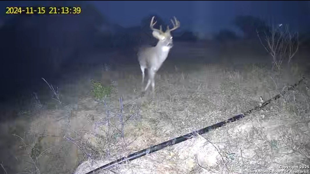 10951 (TRACT A) Kosub Lane San Antonio TX 78223