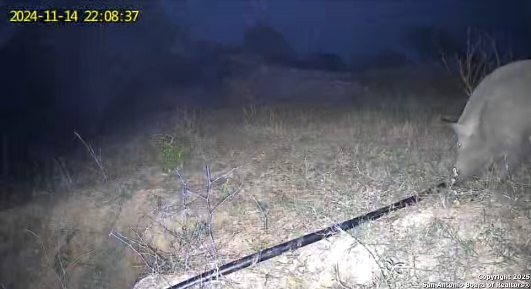 10951 (TRACT A) Kosub Lane San Antonio TX 78223