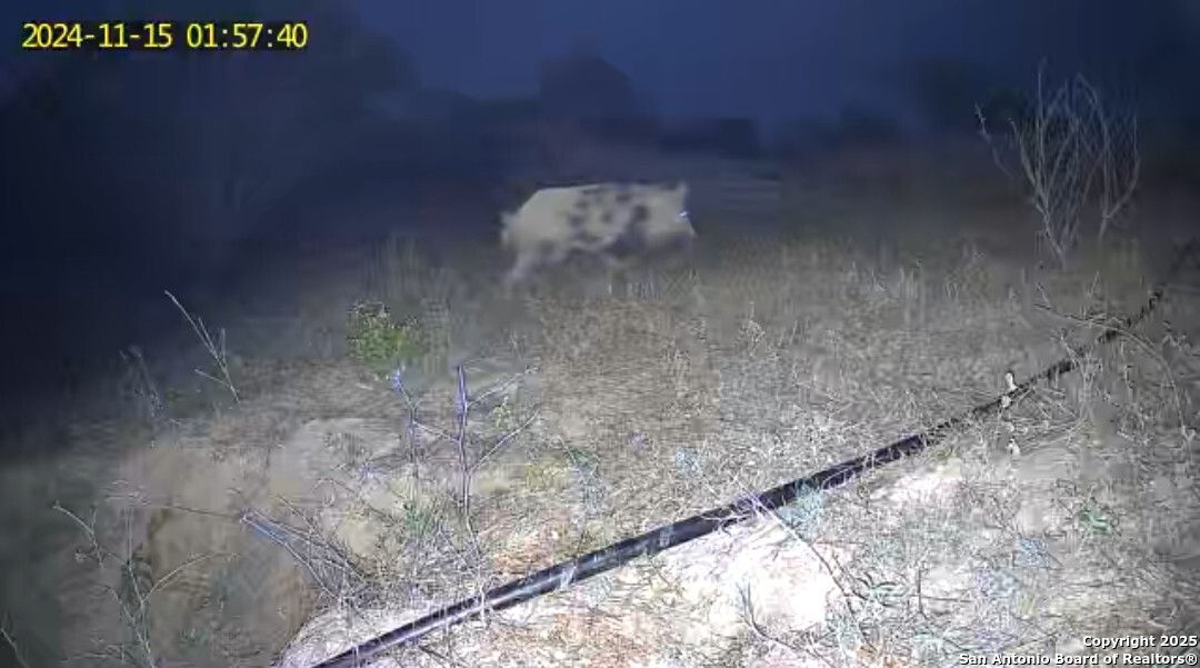 10951 (TRACT A) Kosub Lane San Antonio TX 78223