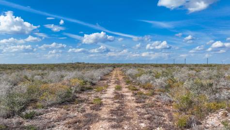 2650 Cr 345 San Diego TX 78384