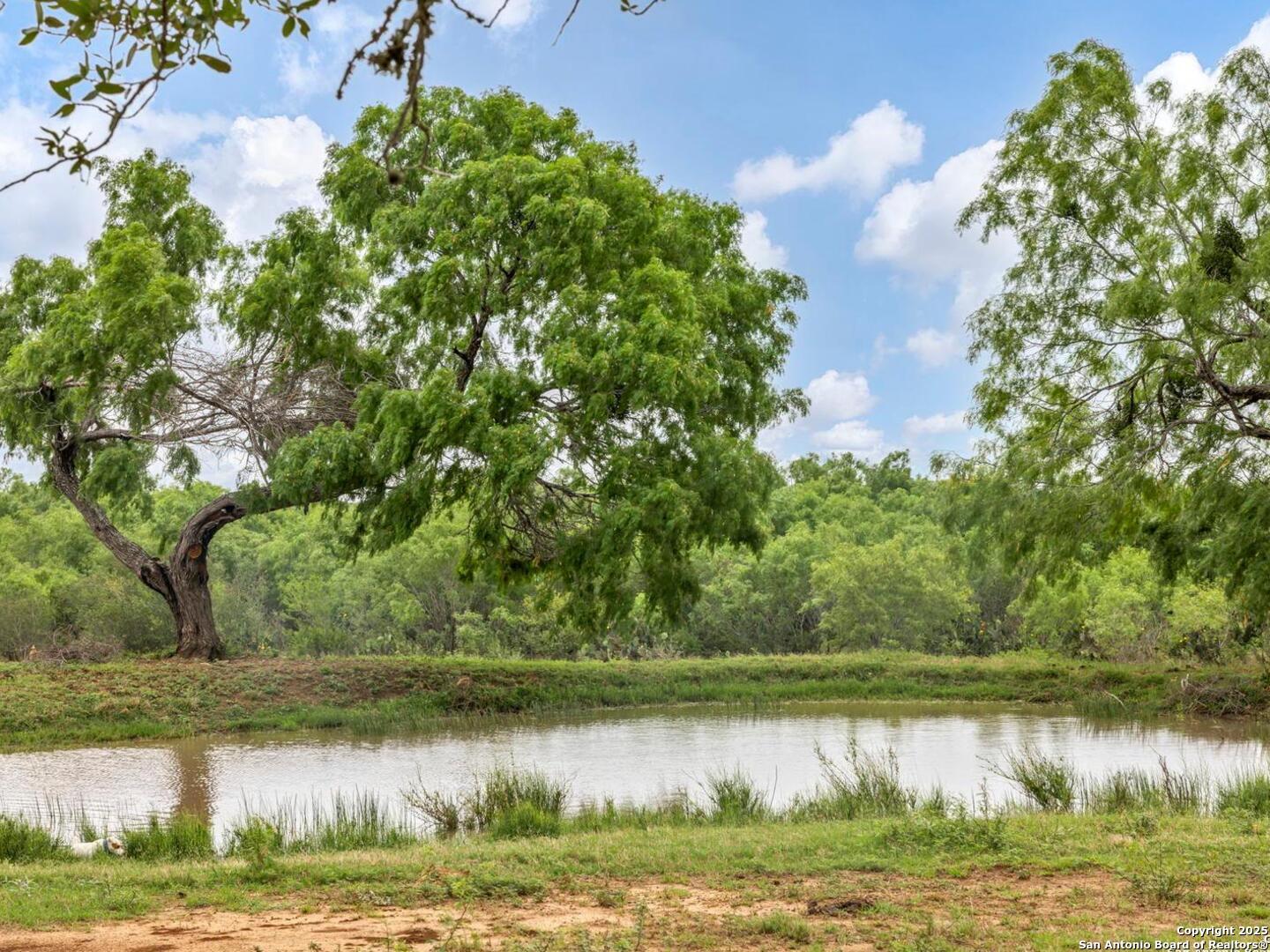 4141 Cr 343 Charlotte TX 78011