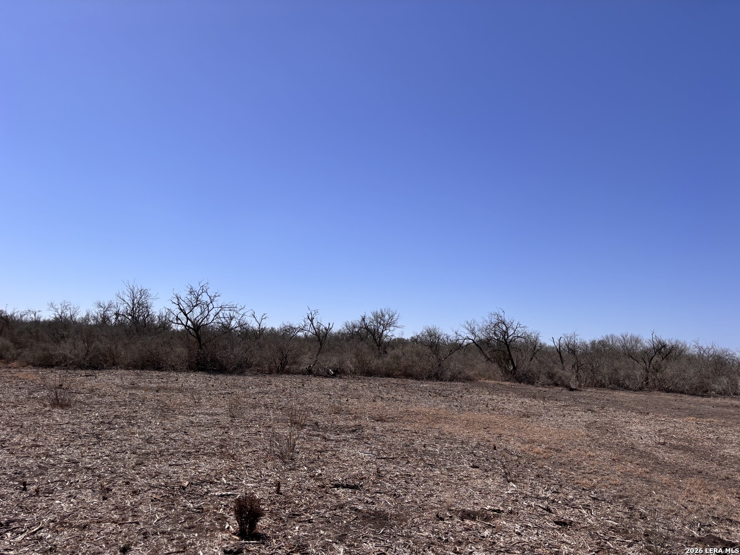 000 Highway 72 Three Rivers TX 78071