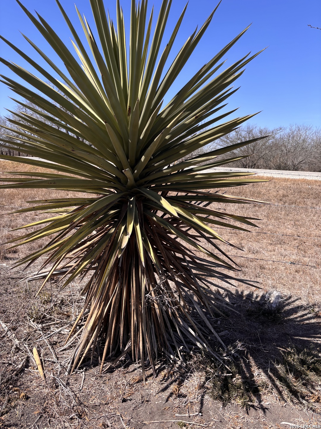 000 Highway 72 Three Rivers TX 78071