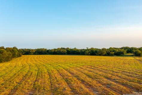1071 Private Road 1090 Hallettsville TX 77964
