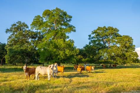 1071 Private Road 1090 Hallettsville TX 77964