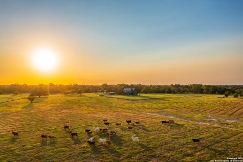 1071 Private Road 1090 Hallettsville TX 77964