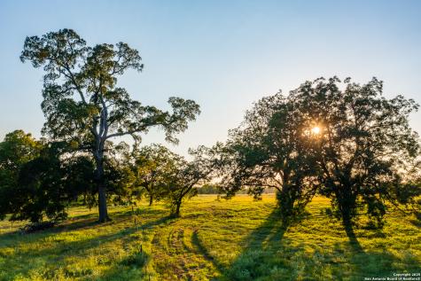 1071 Private Road 1090 Hallettsville TX 77964