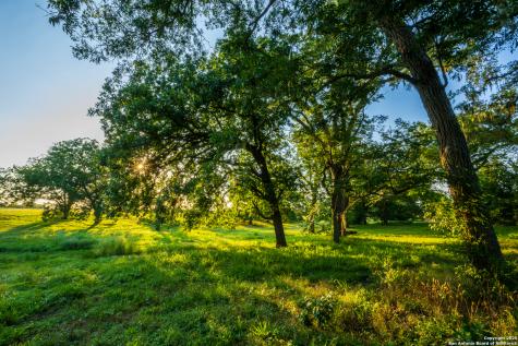 1071 Private Road 1090 Hallettsville TX 77964