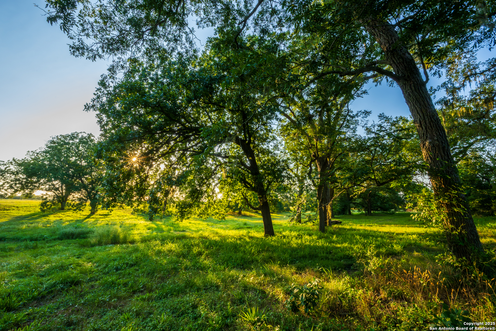 1071 Private Road 1090 Hallettsville TX 77964