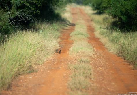 000 E Highway 16 Jourdanton TX 78026