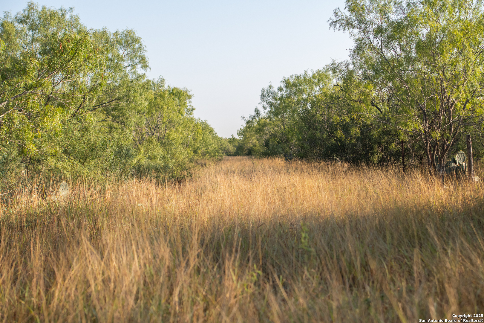 000 E Highway 16 Jourdanton TX 78026
