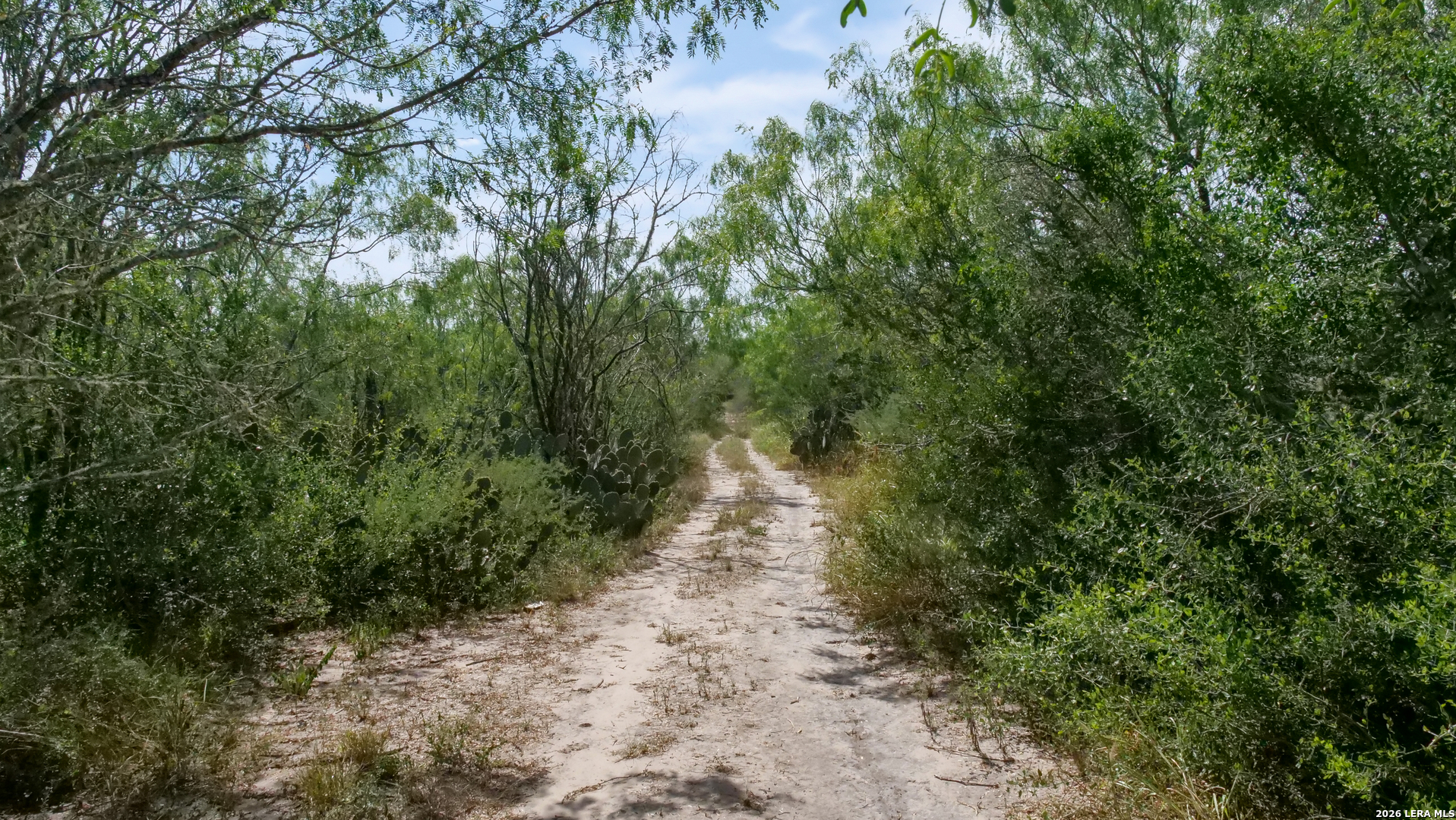 128 Salyer Road George West TX 78022