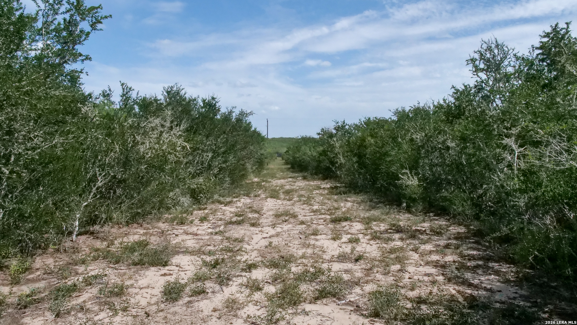128 Salyer Road George West TX 78022