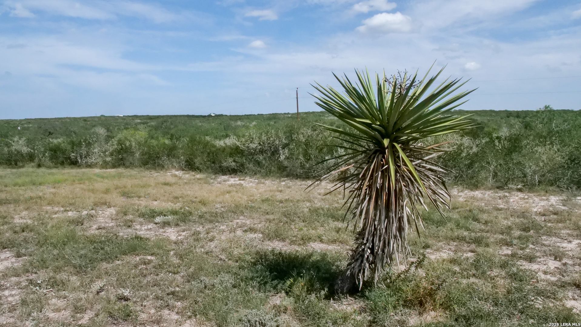 128 Salyer Road George West TX 78022