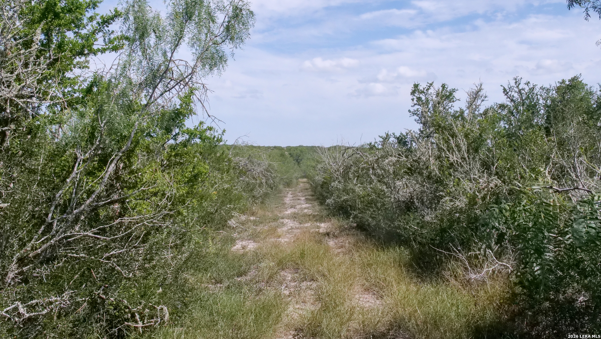 128 Salyer Road George West TX 78022