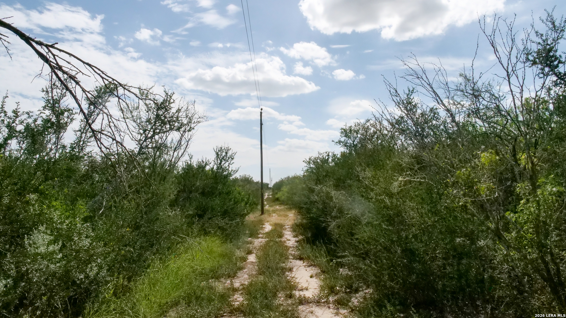 128 Salyer Road George West TX 78022