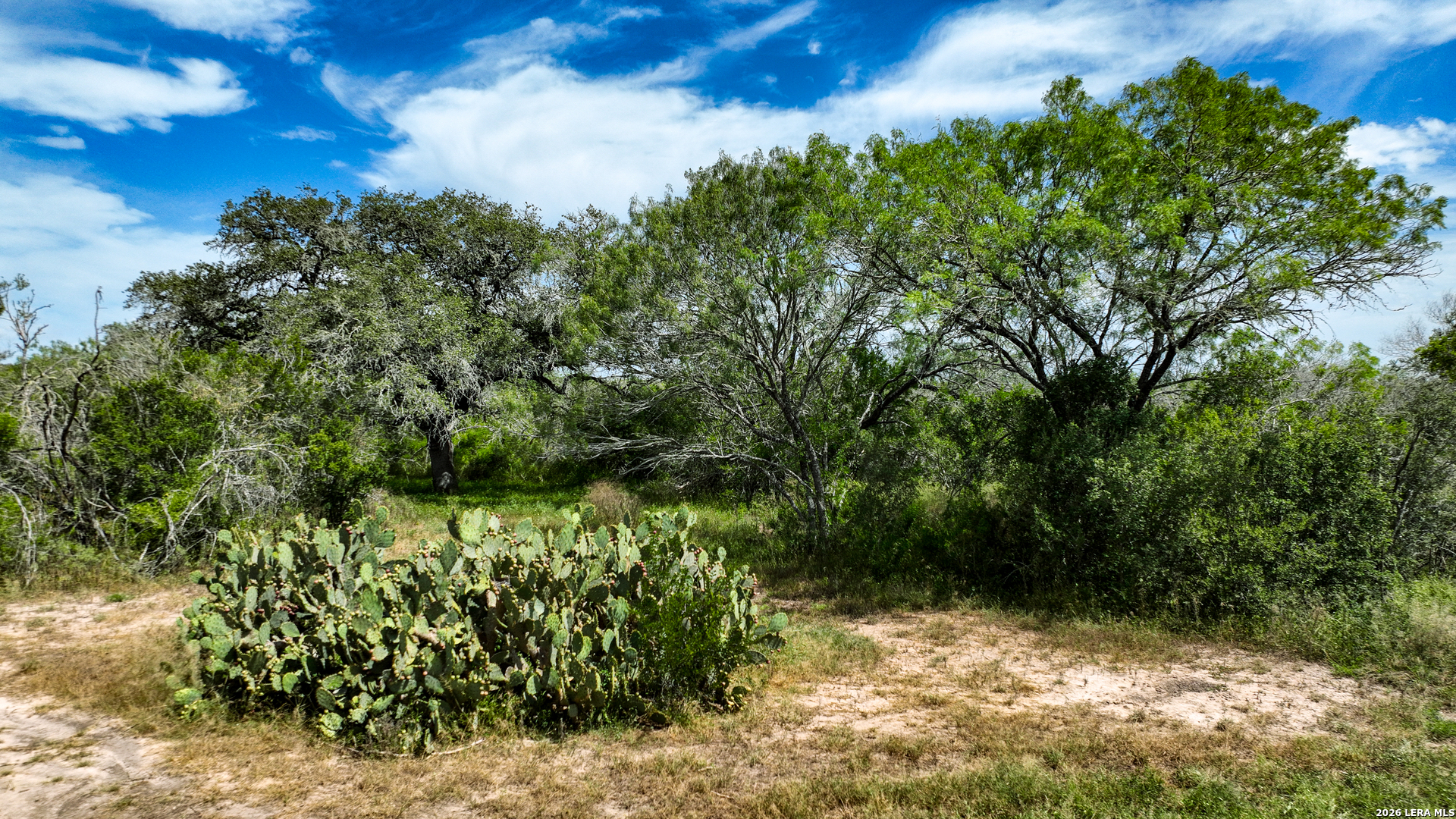 128 Salyer Road George West TX 78022