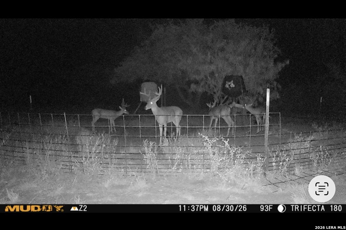 128 Salyer Road George West TX 78022