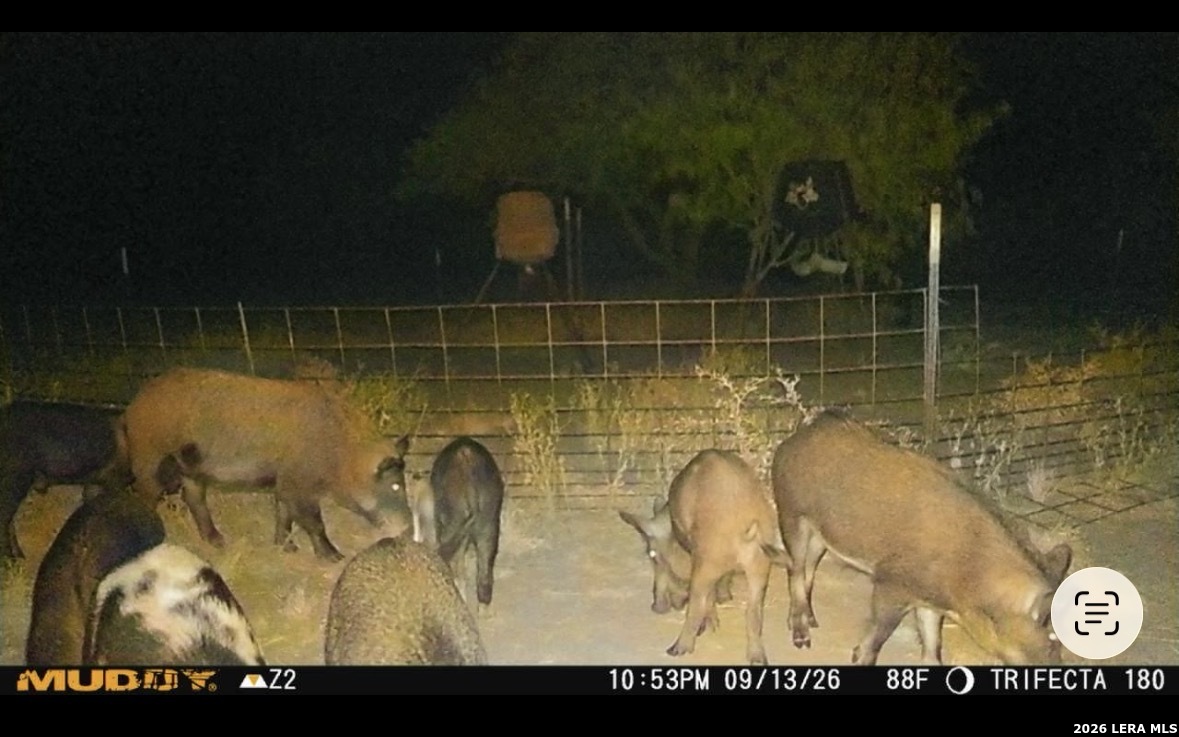128 Salyer Road George West TX 78022