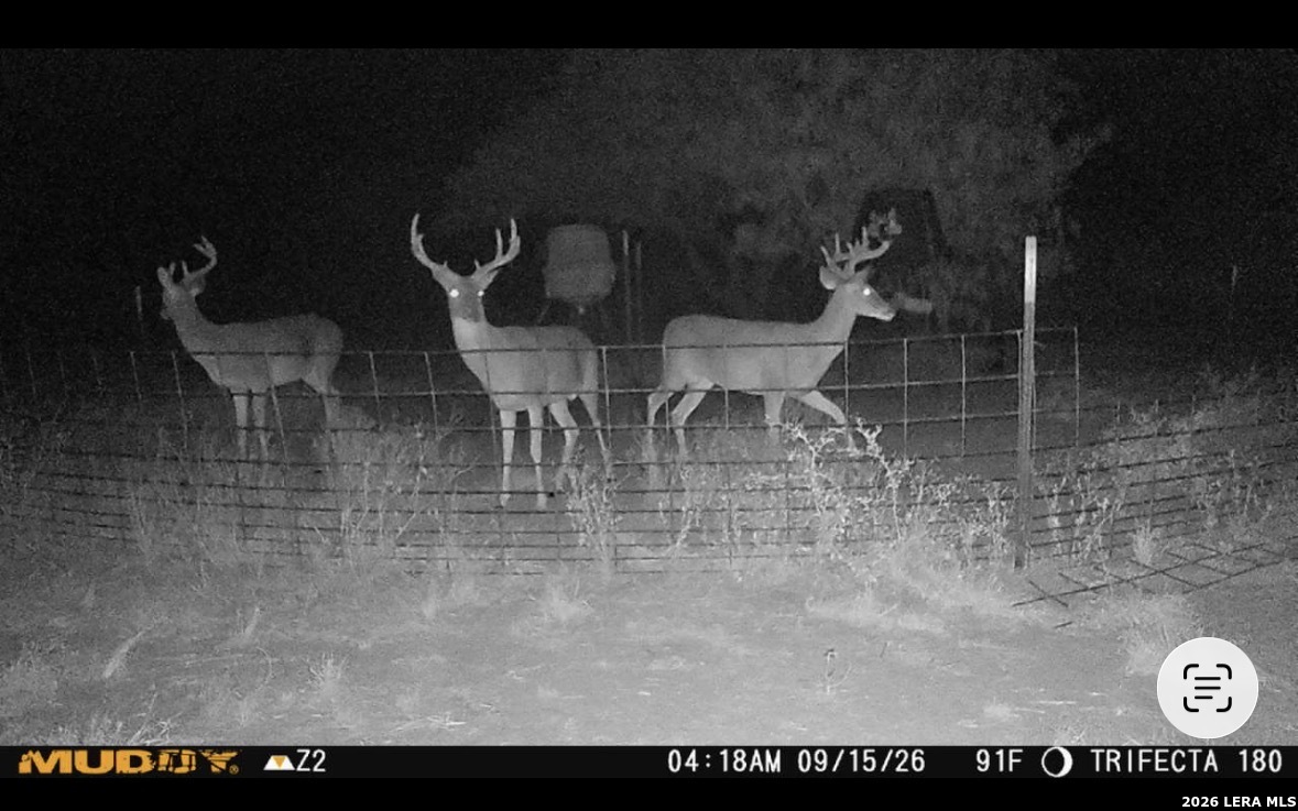128 Salyer Road George West TX 78022