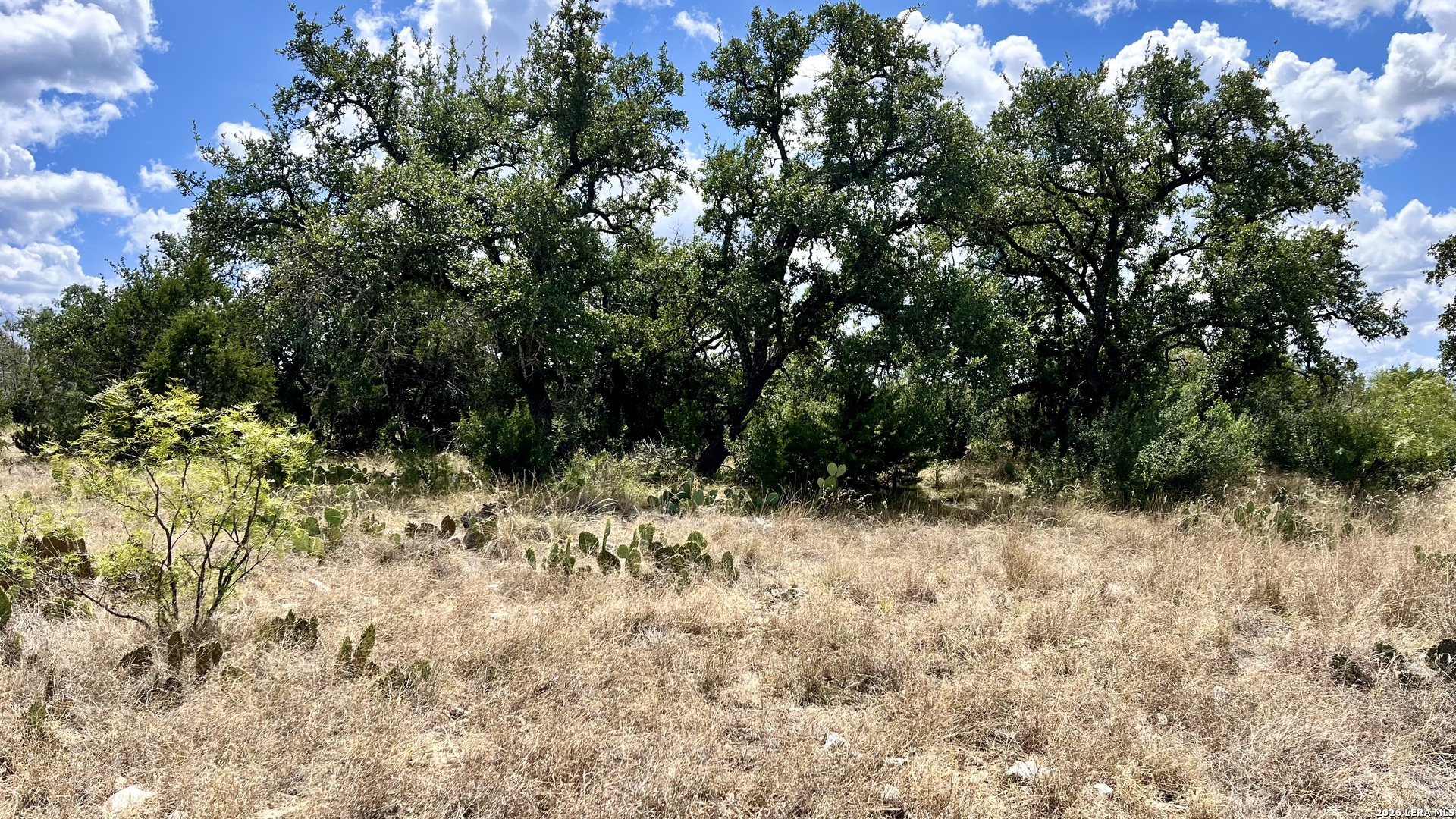 1311 Kc 273 Junction TX 76849