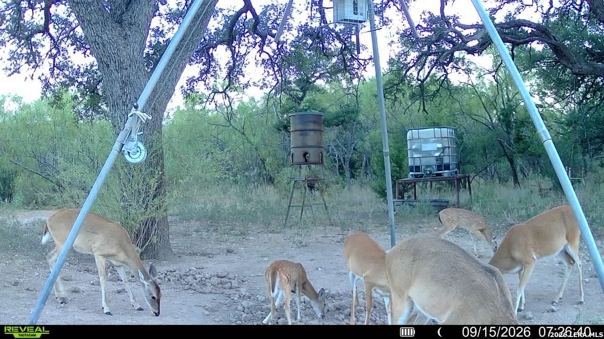 1311 Kc 273 Junction TX 76849