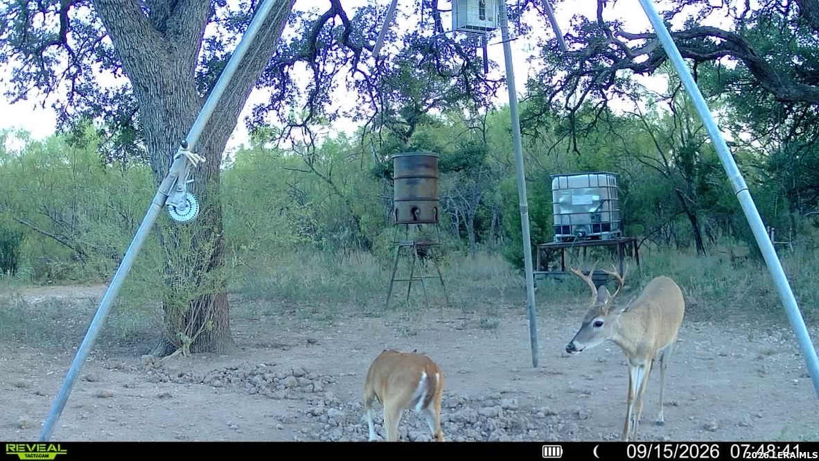 1311 Kc 273 Junction TX 76849