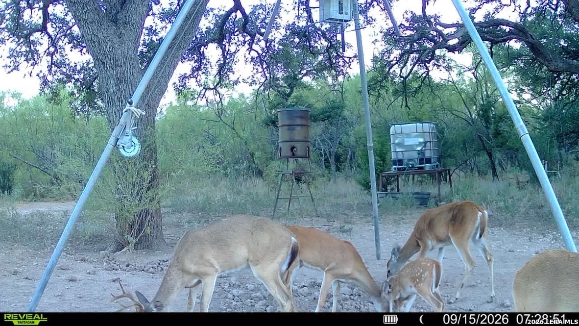 1311 Kc 273 Junction TX 76849