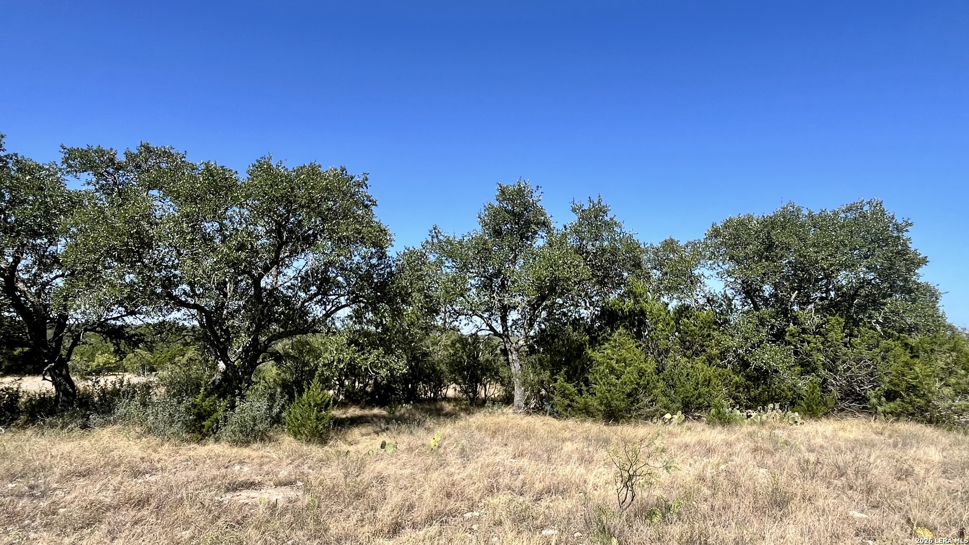 1311 Kc 273 Junction TX 76849