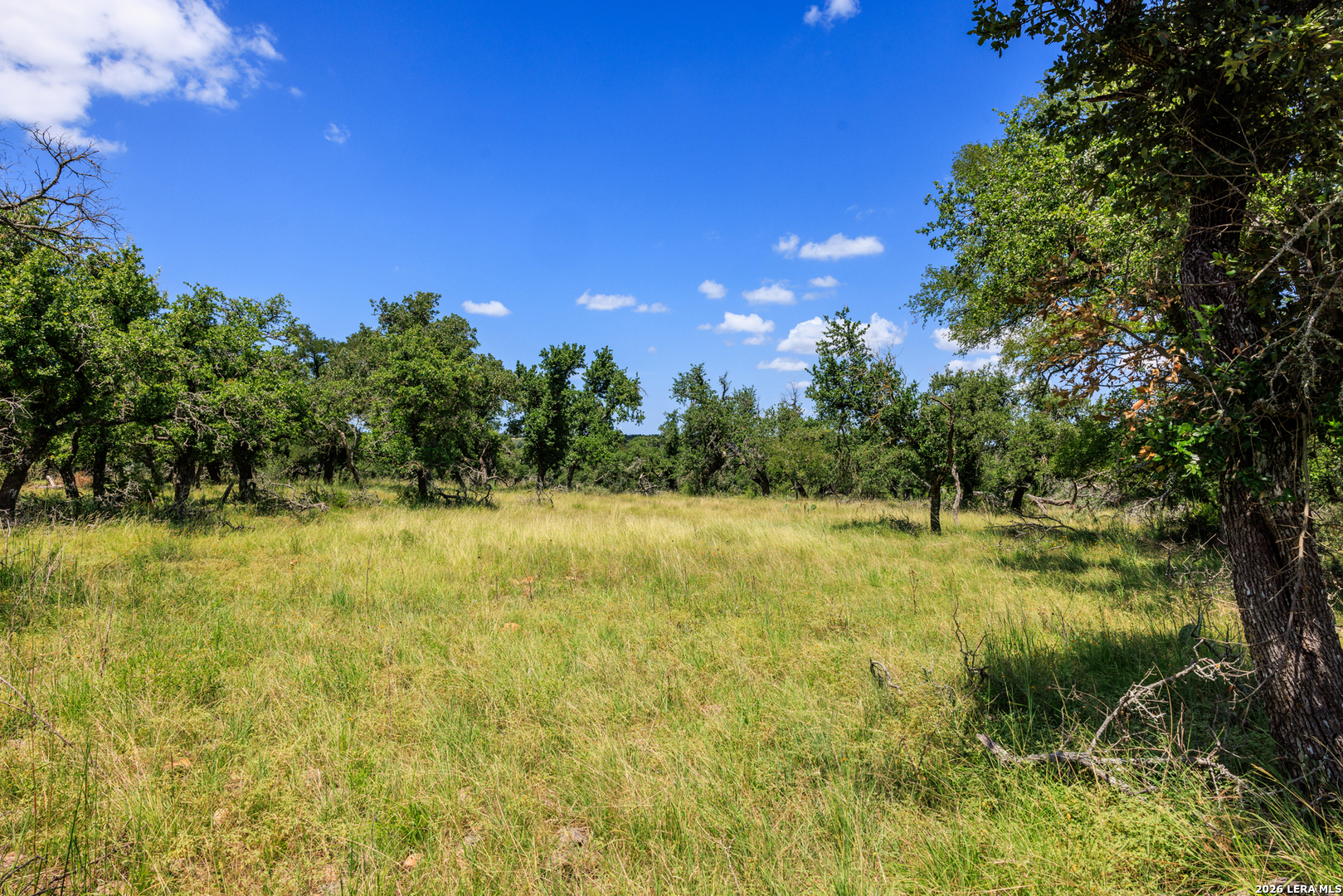 2656 Meier Road Fredericksburg TX 78624