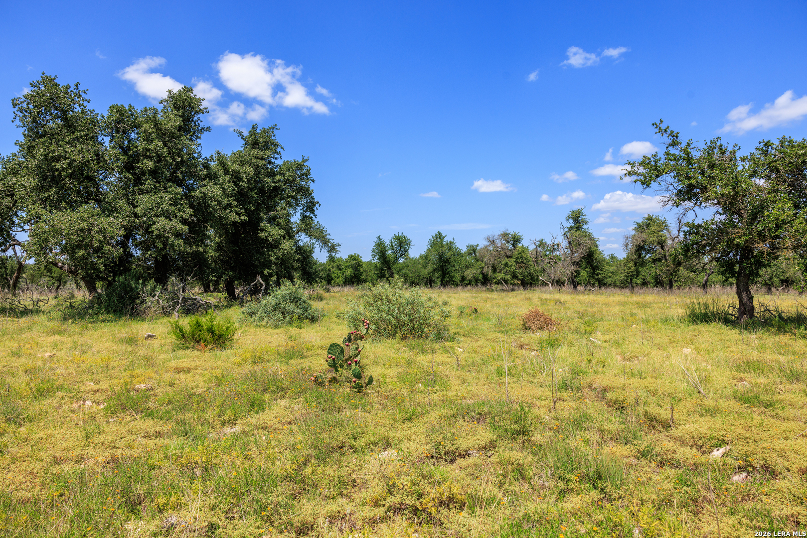 2656 Meier Road Fredericksburg TX 78624