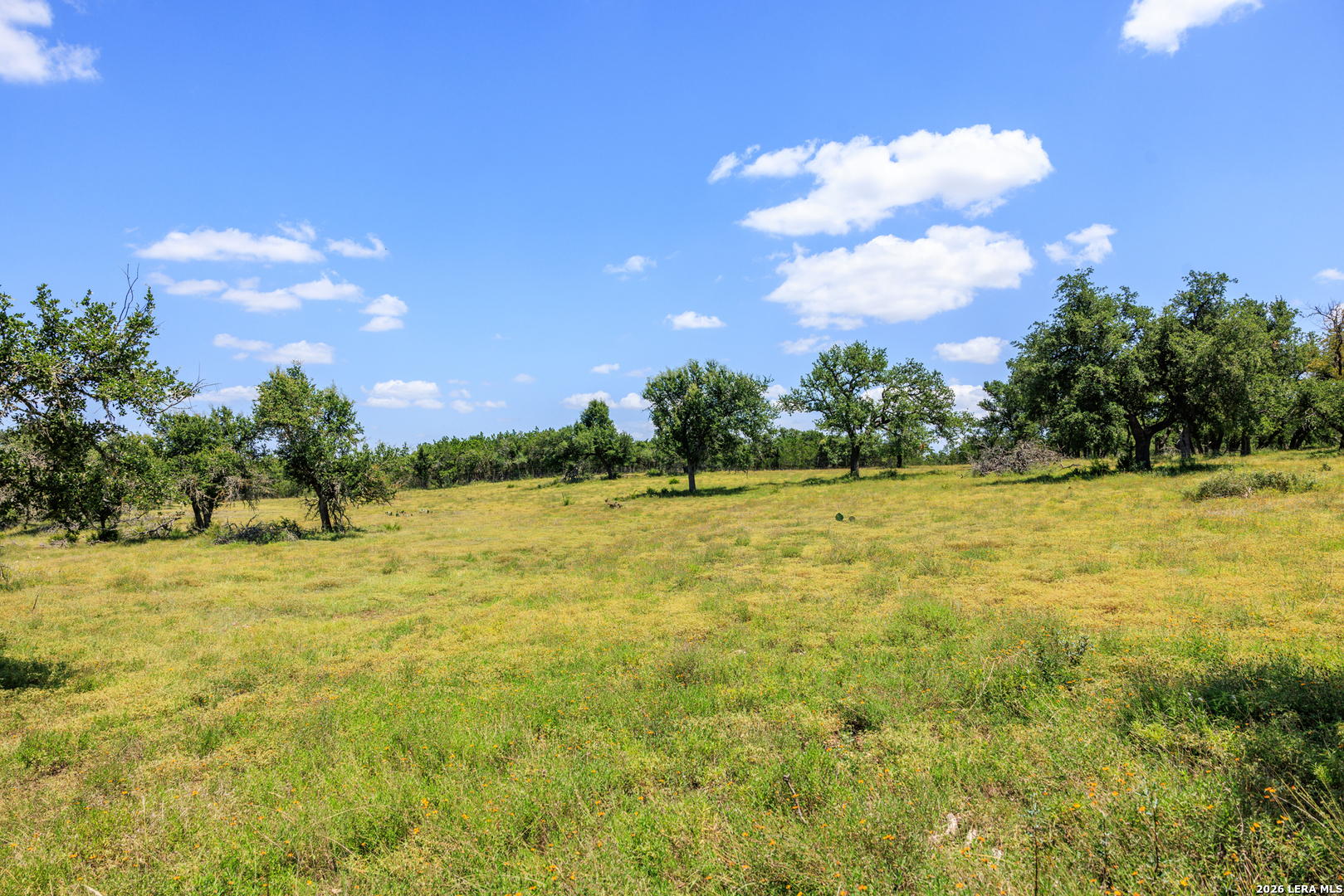 2656 Meier Road Fredericksburg TX 78624