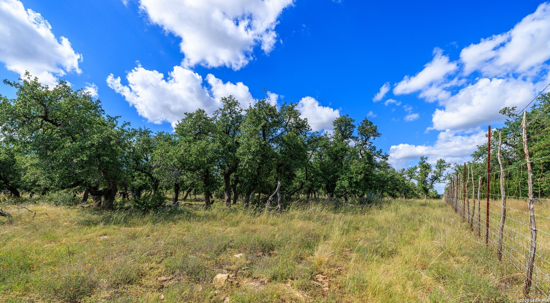 2656 Meier Road Fredericksburg TX 78624